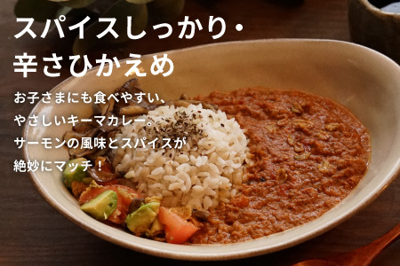 お試し★ 絹姫サーモン 奥三河おさかなキーマカレー 1個 レトルトカレー 魚 サーモン 鮭 非常食 キーマカレー -213