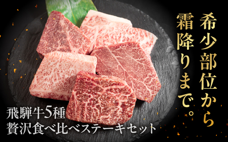 飛騨牛 希少部位食 5種 食べ比べステーキセット（各100g）計500g （サーロイン・ヒレ・ランプ・イチボ・トモサンカク）【22-51】