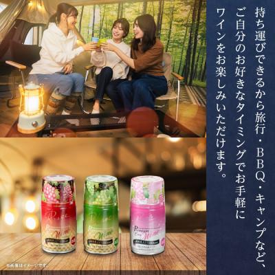 ふるさと納税 笛吹市 モンデ酒造の プレミアム缶ワイン ロゼスパークリング 290ml 24本入 山梨県 笛吹市 |  | 03