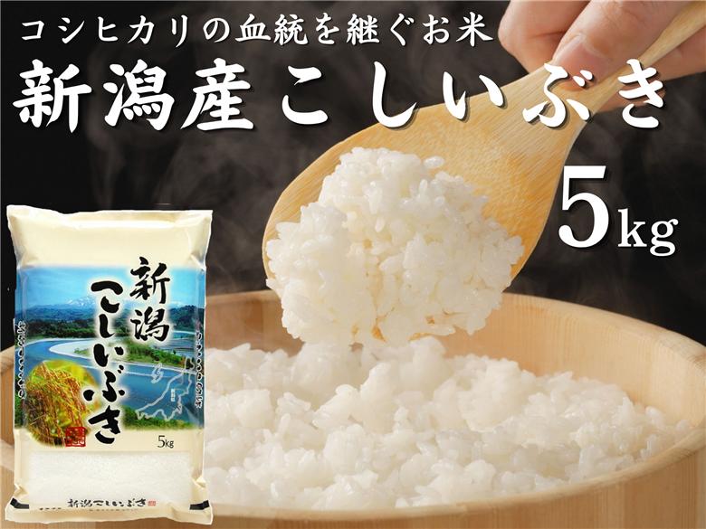【令和8年産新米予約】お米マイスターいち押し！！新潟産こしいぶき 5kg 10月上旬より順次発送予定 1I28010