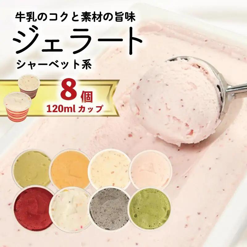 ジェラート  詰め合わせ 120ml 8個  シャーベット系 のみ