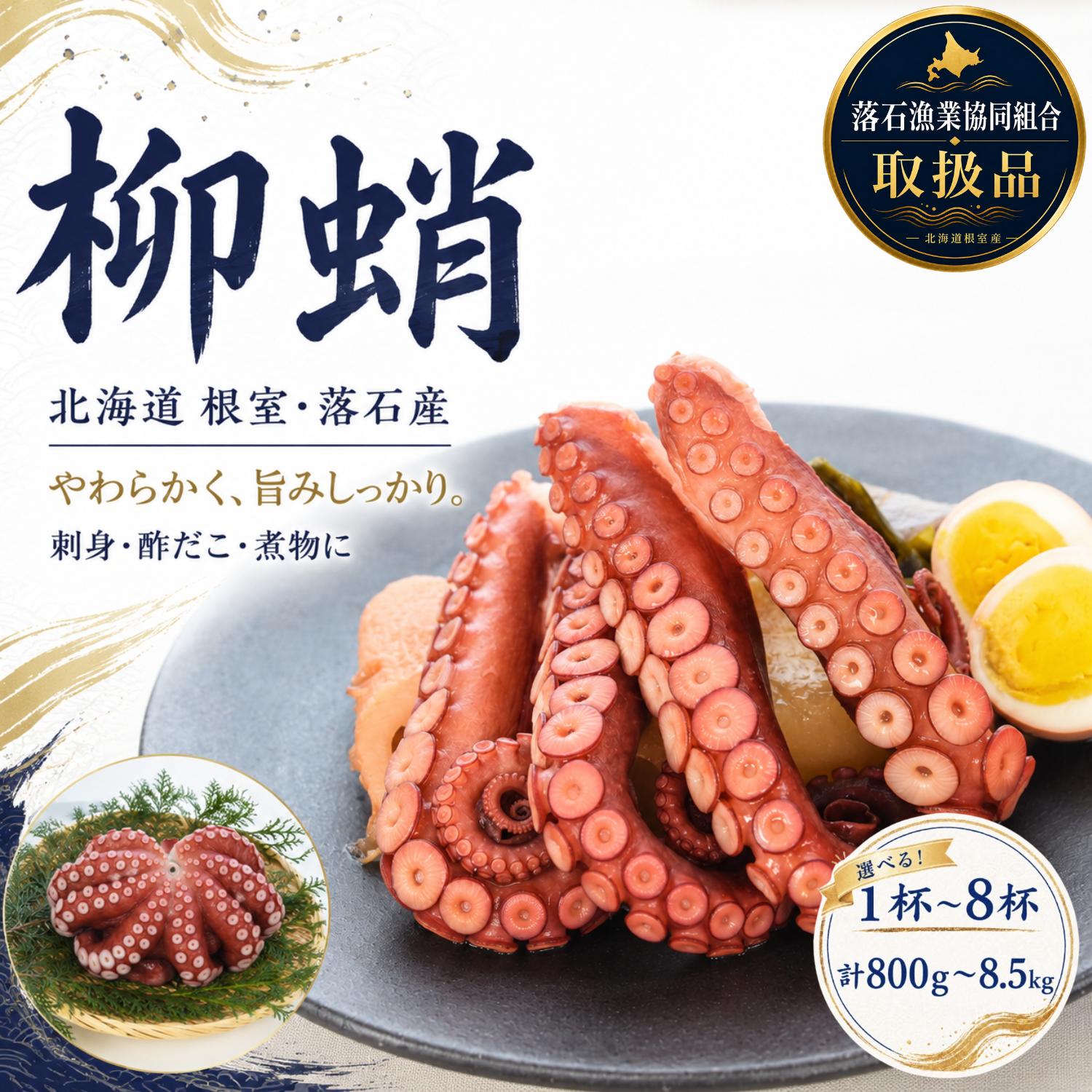 【ふるさと納税】 [北海道根室産]柳蛸ボイル 選べる 1杯(800g) 〜 8杯(計8.5kg) [8月上旬以降発送] 北海道 根室市 ヤナギダコ 柳たこ 柳ダコ やなぎだこ タコ たこ 蛸