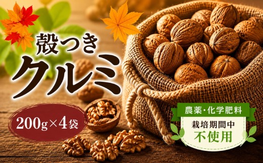 【2025年秋収穫】 殻つきクルミ 200g☓4袋 《農薬・化学肥料 栽培期間中不使用》 ｜ くるみ クルミ 胡桃 殻つき プレゼント ギフト くるみっくる 塩尻市 長野県