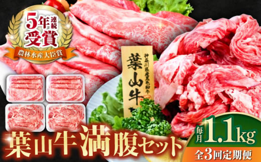 【全3回定期便】葉山牛満腹セット（肩ロースすき焼用250g×2＋切落し300g×2） 国産牛 牛肉 切り落とし 肩ロース 贅沢 セット たっぷり 大容量 1キロ超え 高級和牛 冷凍 黒毛和牛 国産 希少品種 小分け 横須賀 すき焼き すきやき 肉じゃが カレー 料理 ぎゅうにく きりおとし【株式会社羽根】 [AKAG042]