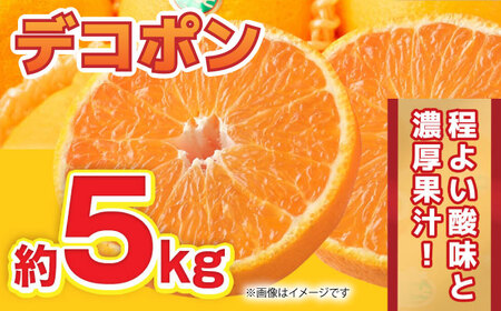 デコポン約5kg(12～20玉)果物柑橘デコポンZBG059