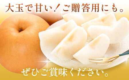 新高梨 約4kg 【配送不可地域あり】梨 なし