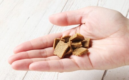 【愛犬用】骨までホロッと鰊ちっぷ 約75g 15g×5袋 ペット 愛犬 犬 いぬ 愛犬 わんちゃん ワンちゃん 魚 お魚 さかな 鰊 にしん ニシン えさ 餌 チップ ヘルシー ビタミン 核酸 真空 