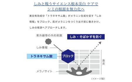 美容液 トランシーノ 薬用 メラノシグナル 50g 美容液