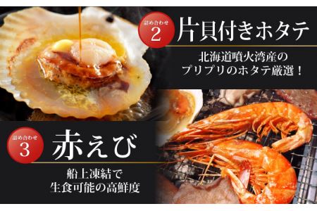 厳選！海鮮BBQ≪B≫セット（5種14品、3～4人用） エビ サザエ ホタテ 牡蠣 アワビ バーベキュー アウトドア 冷凍便 [e04-a005]