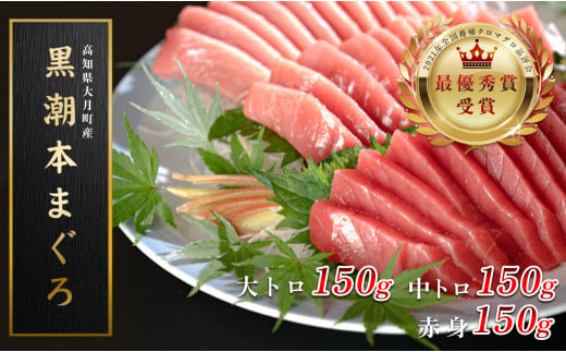 【12/23までの寄附で年内発送】 マグロ まぐろ 本マグロ 刺身 赤身 中トロ 大トロ 3種 450g 養殖 本まぐろ さしみ 刺し身 ネギトロ ねぎとろ 漬け丼 海鮮丼 まぐろたたき 海鮮セット 柵 年末 年始 正月 高知県 大月町