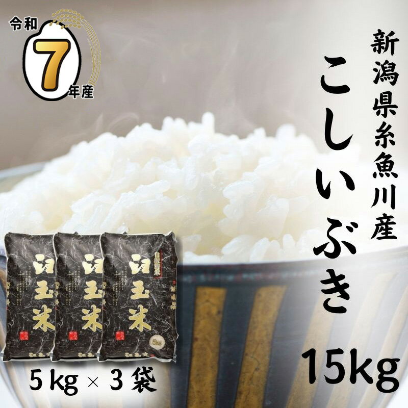 【ふるさと納税】臼玉米こしいぶき 15kg(5kg×3袋) 《令和7年産》【令和8年1月以降出荷予定】糸魚川産 こしいぶき『臼玉米』プロが認めたうまい米 新潟米 コシヒカリの甘みを兼ね備えた早生品種 お手頃価格 白米15kg お弁当 おすすめ 人気 2025年
