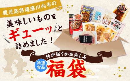 BS-044 【お楽しみ福袋D】うなぎ1尾が必ず入る！６品以上