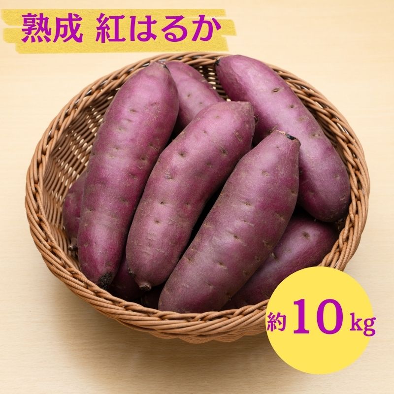 【ふるさと納税】にかほ市 象潟町 大須郷産「 さつまいも 2ヶ月 熟成 紅はるか 10kg 」【 産地直送 国産 芋 おいも 定番 焼き芋 イモ 野菜 長期熟成 秋田県 にかほ】　お届け：2025年12月上旬〜2026年3月末まで