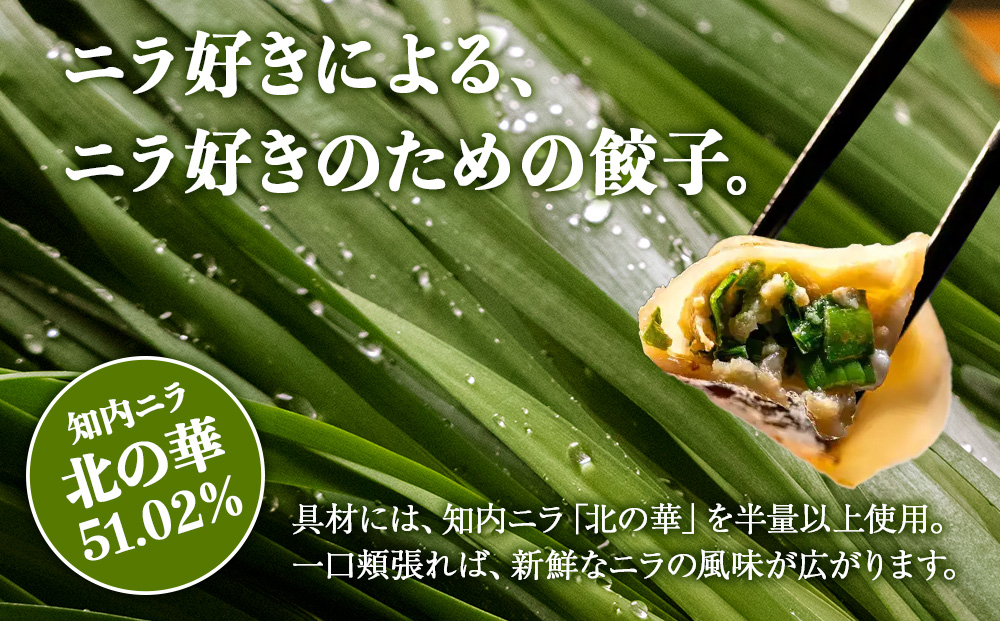 二ラヴァーナ(韮華餃子)5個入り