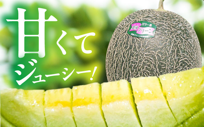 【数量限定】【先行予約】肥後グリーン メロン 2玉【合同会社 福福堂】 [ZCN003]