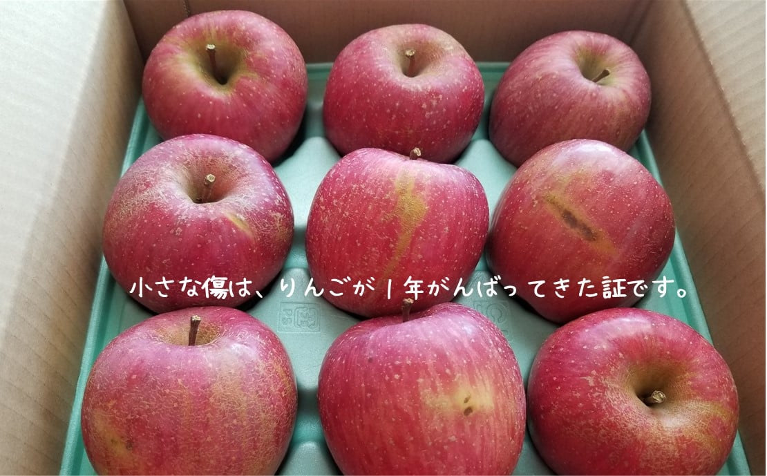 （写真はご家庭用の品質イメージです）