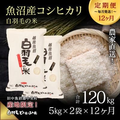 ふるさと納税 十日町市 【毎月定期便】農家直送!魚沼産コシヒカリ 精米(5kg×2袋)全12回