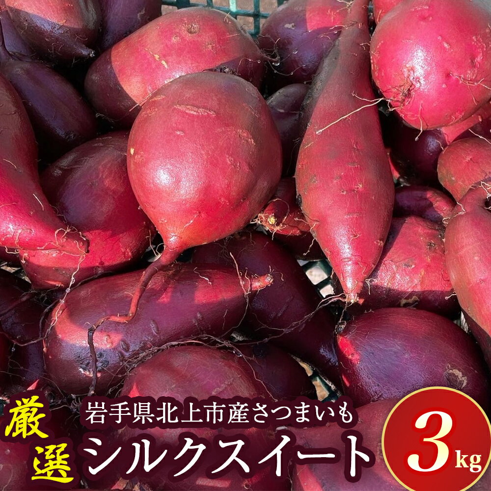 【ふるさと納税】【 予約受付 2025年産 】 厳選 さつまいも シルクスイート 3kg 国産 サツマイモ さつま芋 野菜 岩手県 北上市 齋藤 智仁 B0400 産地直送 ※令和7年9月下旬より発送開始予定