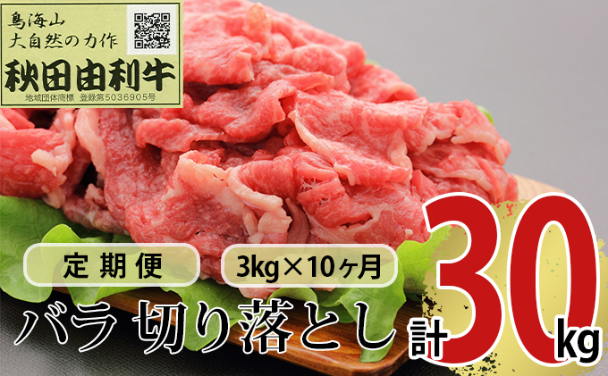 
《定期便》10ヶ月連続 秋田由利牛 バラ切り落とし 3kg（1kg×3パック）
