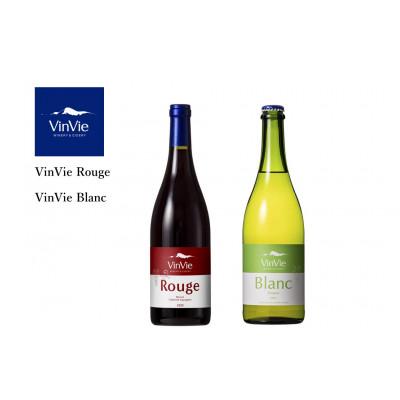 ふるさと納税 松川町 VinVieワイン 赤白2本セット　VI04