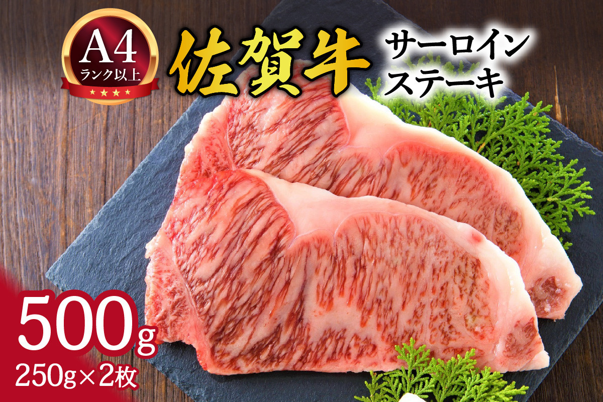 
            【 佐賀牛 】 艶さし！ サーロイン ステーキ セット 500g（250g×2枚） 159-J1054
          