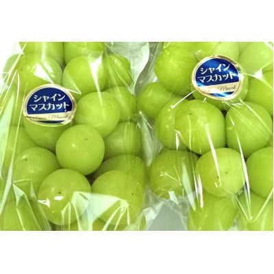 園主が厳選した「シャインマスカット」【配送不可地域：離島・北海道・沖縄県】