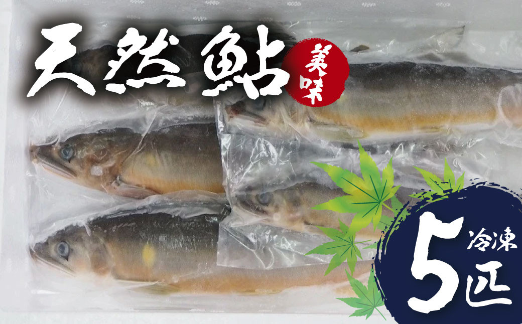 
清流 狩野川で育った 鮎５本詰合せセット（１匹 約70ｇ～100ｇ・冷凍）【伊豆 川魚 鮎 新鮮 冷凍】　010-001

