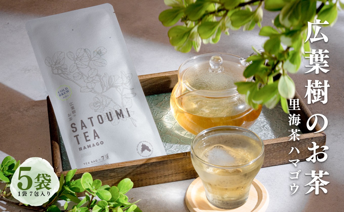 
                  広葉樹のお茶 里海茶 ハマゴウ 5袋 35パック入り カフェインフリー ハマゴウティー お茶 ティー ティーパック 自然栽培 野草茶 ボタニカルティー 飲料 高知県 大月町
                