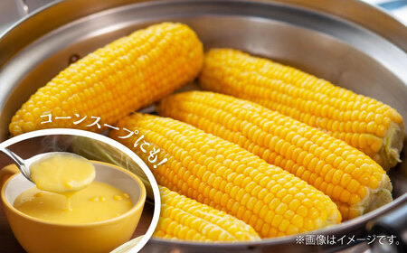 【6月上旬より順次発送】【数量限定】スイートコーン(甘々娘) 約4kg（10~12本）【なかむら農園】[BHCJ001]