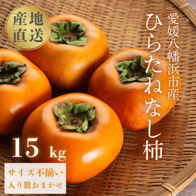 ふるさと納税 八幡浜市 《秋の味覚 種なしで食べやすい》 ひらたねなし柿 15kg (7.5kg×2箱)【H20-40】