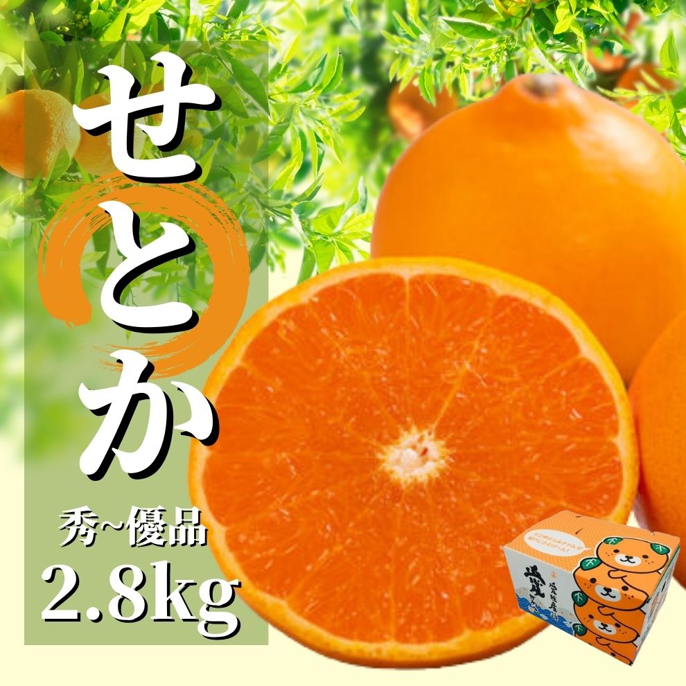 【ふるさと納税】愛媛 せとか 秀~優品 約2.8kg 2026年2月から3月頃発送 | みかん 先行予約 柑橘 果物 くだもの フルーツ お楽しみ お取り寄せ グルメ 期間限定 数量限定 人気 おすすめ ギフト 愛媛県 松山市