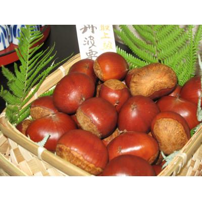 ふるさと納税 亀岡市 【先行受付】宮本屋の丹波栗 厳選大粒 |  | 01