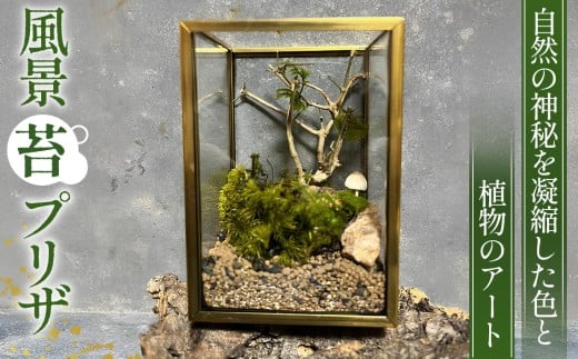 風景　苔プリザ ／ アート 作品 自然 埼玉県 No.355
