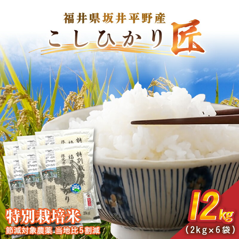 【ふるさと納税】令和7年産 特別栽培米 コシヒカリ匠 12kg（2kg×6袋）節減対象農薬当地比5割減【選べる精米方法：白米 / 玄米】【米 コメ お米 コシヒカリふるさと納税米 ブランド米 国産】