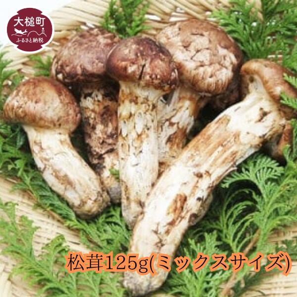 【ふるさと納税】大槌産 まつたけミックスサイズ125g【令和7年10月より発送】 国産 まつたけ 天然 期間限定 季節限定 産地直送 希少 秋 山の幸 きのこ キノコ ご飯 土瓶 蒸し 送料無料 国内産 いわて iwate