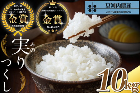 【先行予約】【10月下旬より順次発送】実りつくし 10kg 「令和4年 米・食味コンクール国際大会金賞」お米 九州産 福岡県宮若産 国産 送料無料 M789