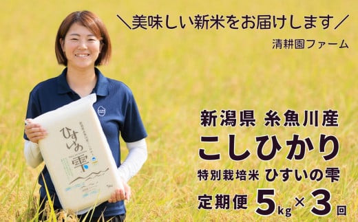 【令和6年産新米予約】 新潟県糸魚川産コシヒカリ 5kg×3ヶ月 計15kg 定期便『ひすいの雫』専門家お墨付き 特別栽培米 清耕園ファーム 農家直送 令和6年産 真空パック 鮮度長持ち 白米【3回 3カ月 毎月 お届け お米 こめ 精米 こしひかり 2024 ギフト お弁当 おにぎり にも おすすめ！】