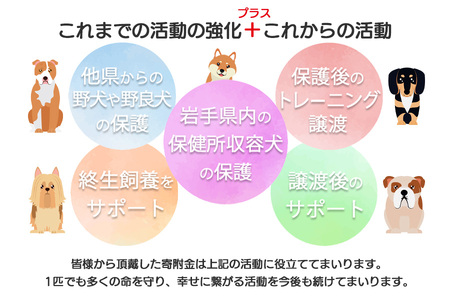 【お礼品なし】殺処分ゼロとその先を目指して！　動物保護シェルターへの応援寄附　20,000円/応援寄付金 返礼品なし お礼の品なし 地元支援 地域支援 ふるさと支援 殺処分 ゼロ 0 感謝 動物愛護 