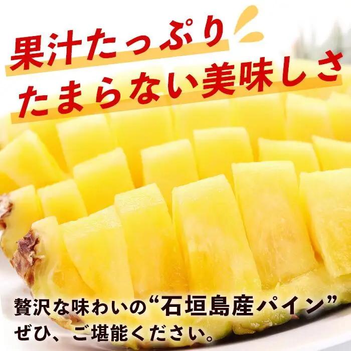 【先行予約】石垣島産 ハワイ種 パイン (4玉 約4㎏)  TP-5