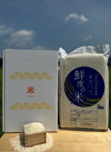 【ふるさと納税】特別栽培米　丹波コシヒカリ　(真空)5kg