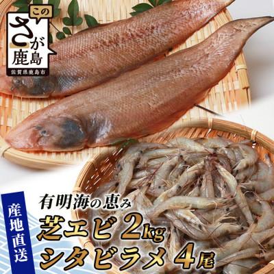 ふるさと納税 鹿島市 冷凍芝エビ(真エビ)2kg(500g×4パック)&amp;有明海産 シタビラメ約150g×4尾【有明海の恵】