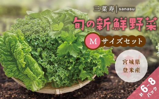 【定期便６回】旬の新鮮野菜セット　Mサイズ（5種類以上/6～8パック）