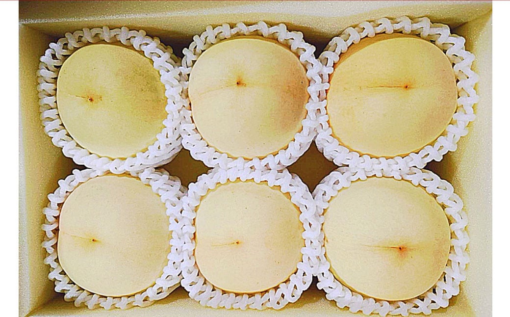 【桃定期便2回】 （白桃 ・ 黄金桃） 【2026年7月上旬より発送開始】 ／ 桃 もも 果物 果実 フルーツ 旬 食べ比べ 定期便 岡山県 美咲町 冷蔵