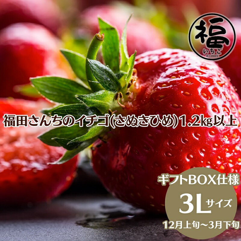 【ふるさと納税】福田さんちのイチゴ(さぬきひめ) 3Lサイズ 1.2kg以上 ギフトボックス3箱【配送不可：北海道、沖縄、離島エリア】苺 農園直送 いちご採れたて 直送　お届け：2025年12月上旬～2026年3月下旬収穫次第順次発送いたします。