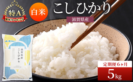 コシヒカリ お米 5kg 精米 定期6回 コシヒカリ