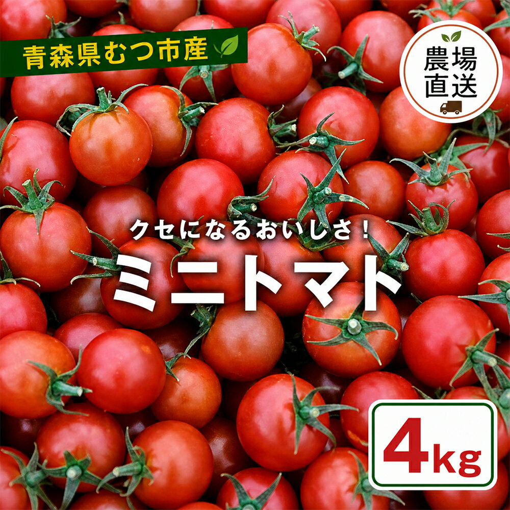 【ふるさと納税】むつ市産　寅福菜園の「ミニトマト」4kg　ミニトマト トマト 野菜 ふるさと納税 トマト リコピン