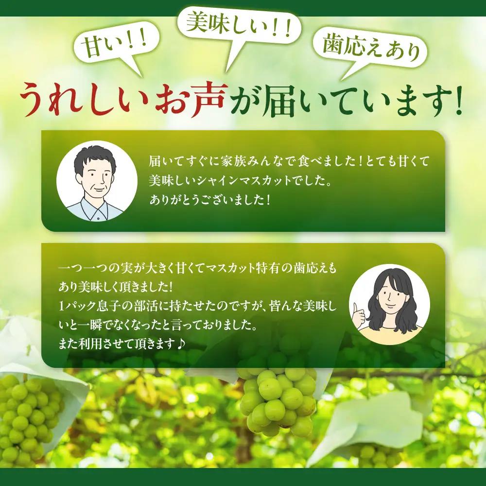 高野農園　長野市松代産 訳ありシャインマスカット 約1kg（バラ房） |シャインマスカット