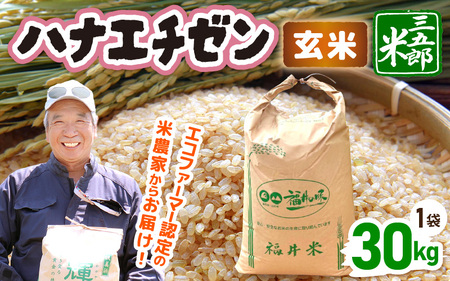 【先行予約】米 令和8年産 ハナエチゼン 20kg（玄米）【2026年9月中旬以降順次発送予定】【大容量 ブランド 玄米】 [m76-c001]