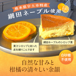 145-1　赤い看板　チーズケーキ
