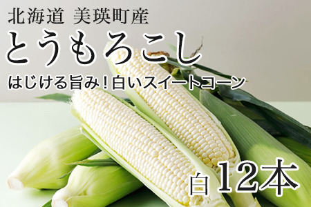 とうもろこし 北海道  先行予約 スイートコーン 白 12本 とうもろこし